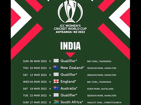 cricket world cup final 2022